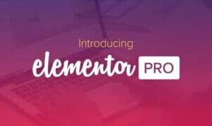 Elementor PRO